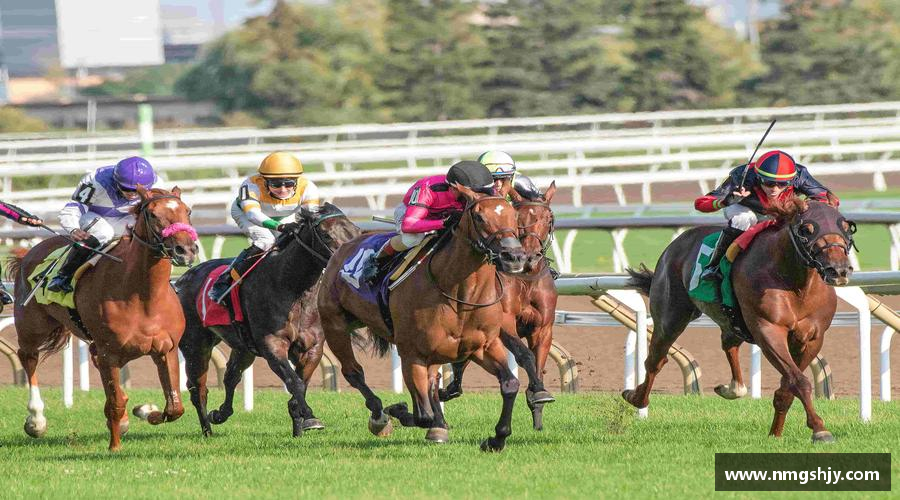 见证冠军诞生的瞬间！